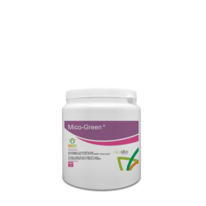 mycorrhizal inoculant