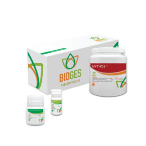 bonsai care kit