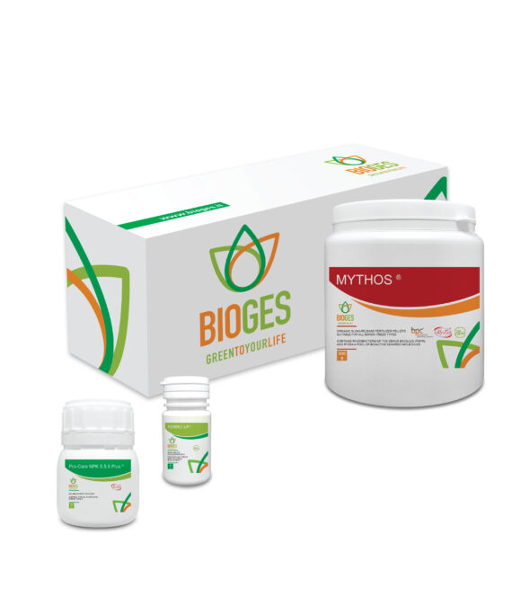 bonsai care kit