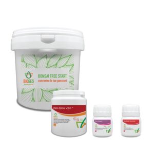 bonsai starter kit