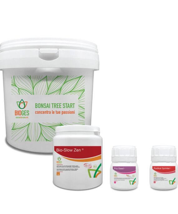 Bonsai starter kit - growing bonsai from seed