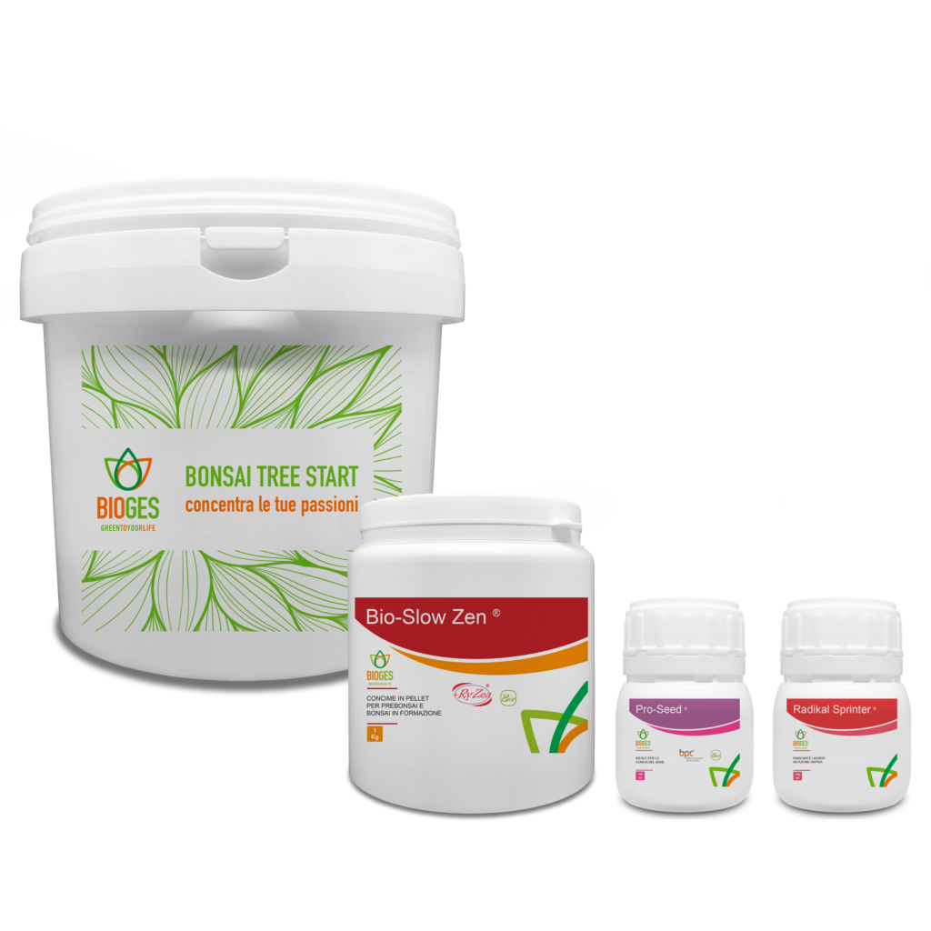 Bonsai starter kit growing bonsai from seed free shipping