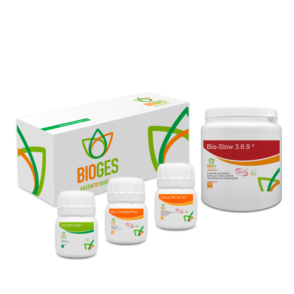 Bonsai tree care kit refinement and maintenance autumn fertilization