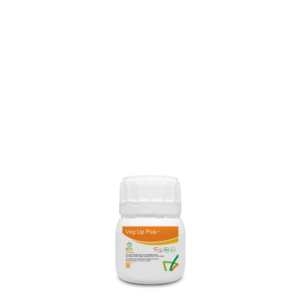 amino acids