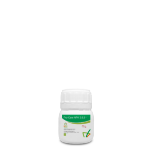 bonsai fertilizer