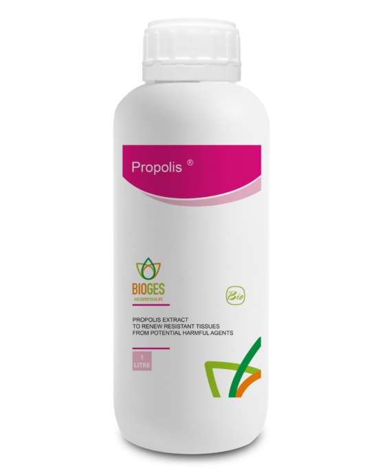 Propolis extract