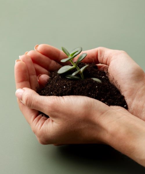 Plant protection and Micronutrients