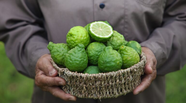 bergamot