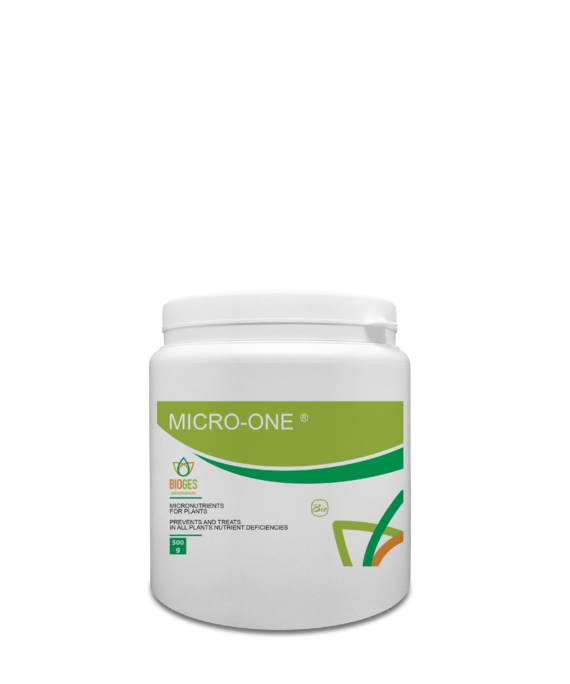 Micro-ONE