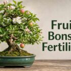 best fertiliser for