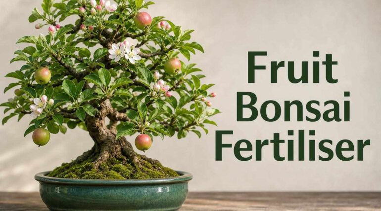 best fertiliser for
