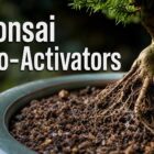 bio-activators for bonsai