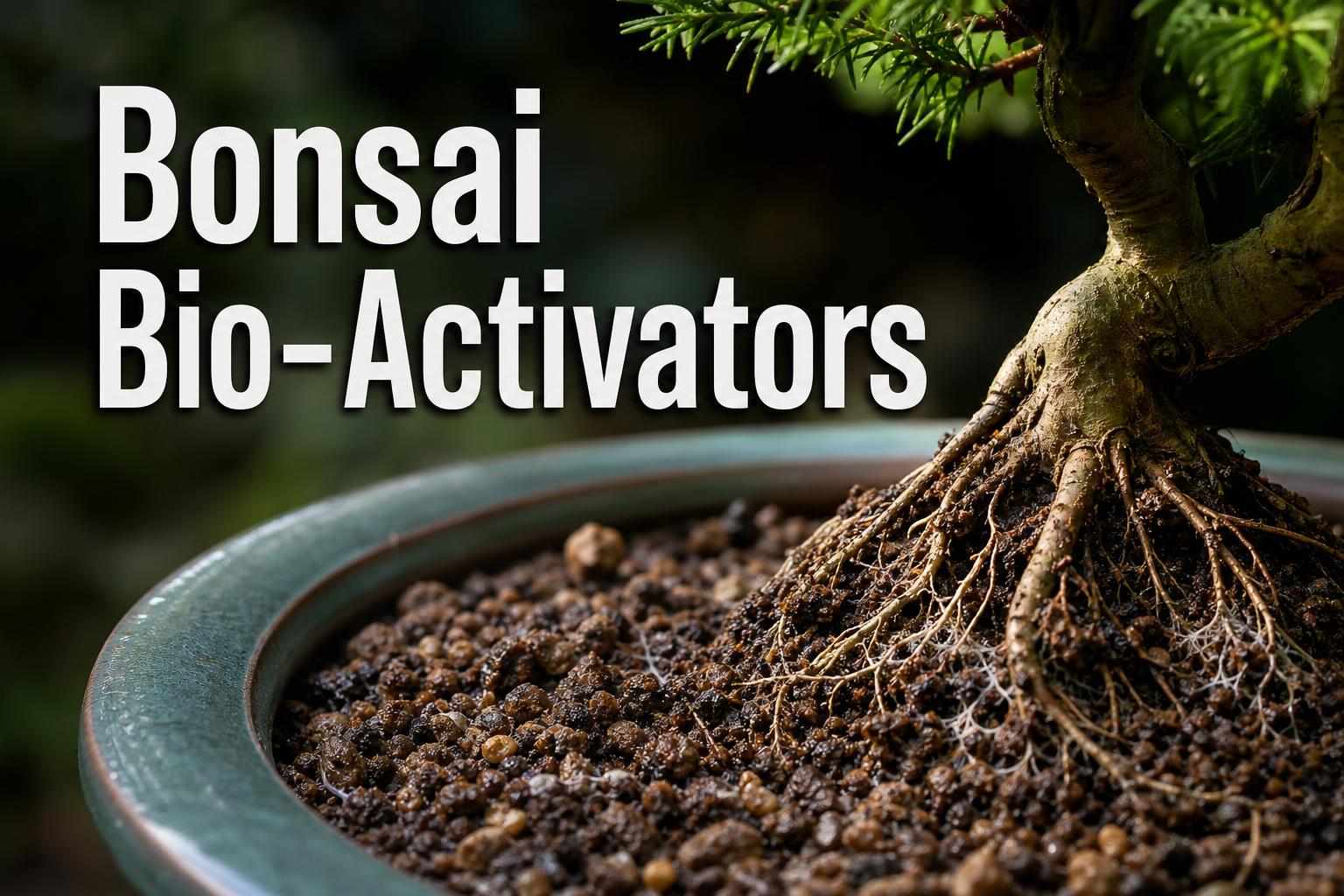 bio-activators for bonsai